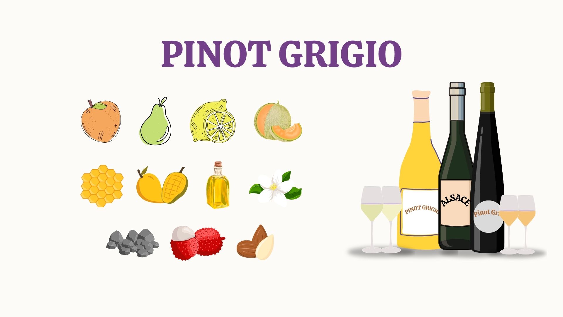 Tutvume viinamarjasordiga – Pinot Grigio!